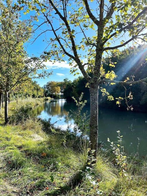 Insolite Peniche Amazonie Canal Du Midi Gardouch Zewnętrze zdjęcie