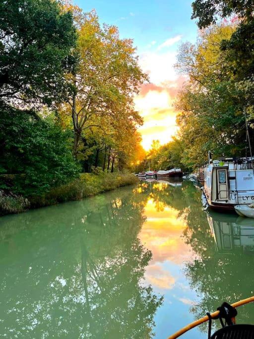 Insolite Peniche Amazonie Canal Du Midi Gardouch Zewnętrze zdjęcie